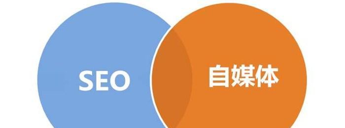 为什么选择专业SEO优化公司（掌握）