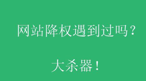 网站降权不要慌，稳定追踪是关键（多种原因可能导致网站降权）